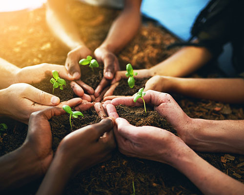 Perfect Flight entra para o ranking das principais empresas agrícolas sustentáveis da América Latina em 2023