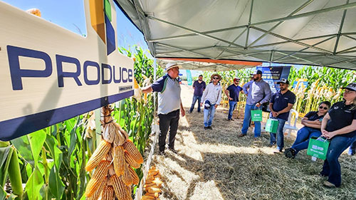 Evento em Dourados vai mostrar como empreender no agro através da venda direta