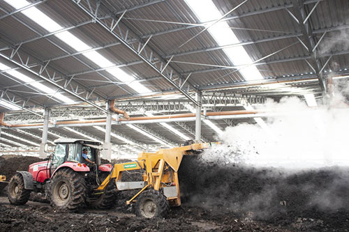 Adubos orgânicos podem contribuir para reduzir dependência de fertilizantes importados