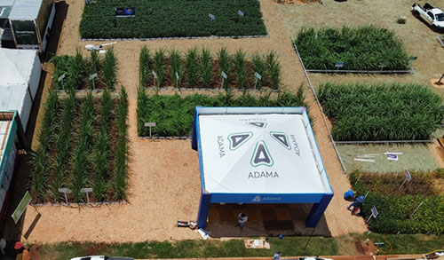 Biossoluções e outras inovações em formulação são destaques da ADAMA em um dos principais eventos do setor sucroenergético