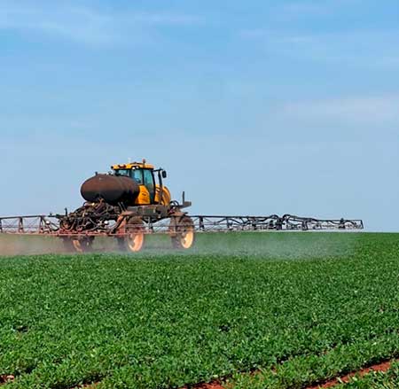 Fósforo ou ácido fosforoso? Produtores de amendoim vivem dilema sobre o que é correto na nutrição foliar quando o assunto é exportação