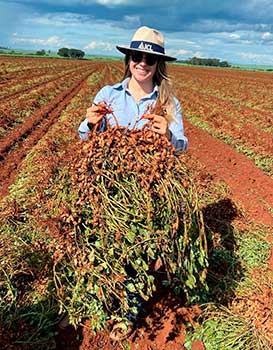 Fósforo ou ácido fosforoso? Produtores de amendoim vivem dilema sobre o que é correto na nutrição foliar quando o assunto é exportação