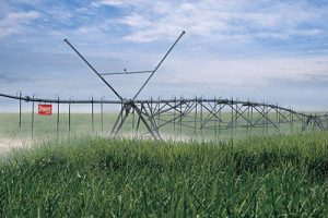 Com utilização da tecnologia, irrigação pode aumentar a produtividade em 30% e pode oferecer mais sustentabilidade com o uso racional da água