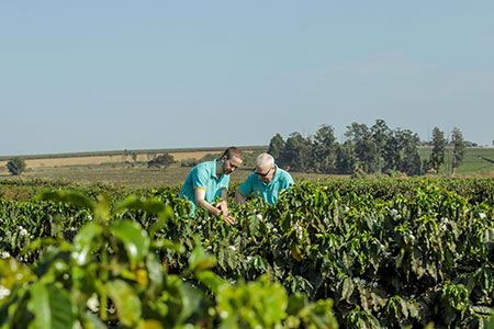 Federação dos Cafeicultores do Cerrado participa do Fórum do Agronegócio Sustentável com Tecnologia e Inovação