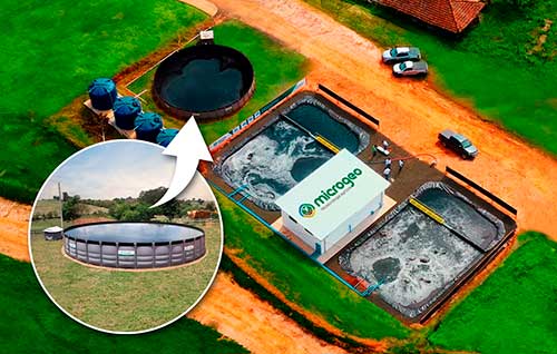 Microgeo registra crescimento recorde em 2023, impulsionando a comercialização de biológicos na agricultura nacional