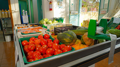 Sabores da agricultura orgânica: webinar vai abordar “Comidas reais para pessoas reais”