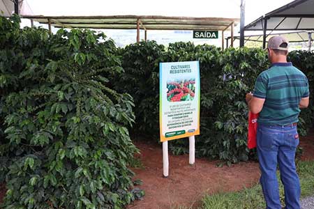 Femagri 2024: Fazendinha apresenta soluções aos cafeicultores como o “Burrinho mecânico”