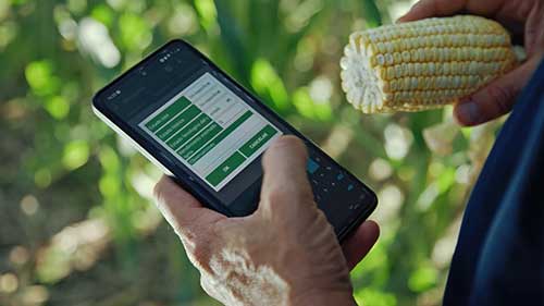 O novo papel do engenheiro agrônomo na era digital