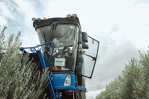 New Holland vende a primeira colheitadeira de azeitonas do Brasil