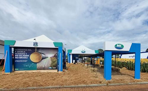 Sementes NK leva à Expodireto Cotrijal a alta produtividade e a rentabilidade em híbrido de milho