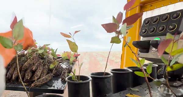 Aperam BioEnergia adquire máquinas inéditas no Brasil que mecanizam plantio de florestas renováveis em período de chuvas