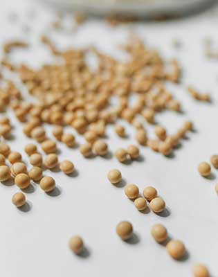 Sumitomo Chemical lança o Plust®, fungicida para tratamento de sementes com amplo espectro de controle