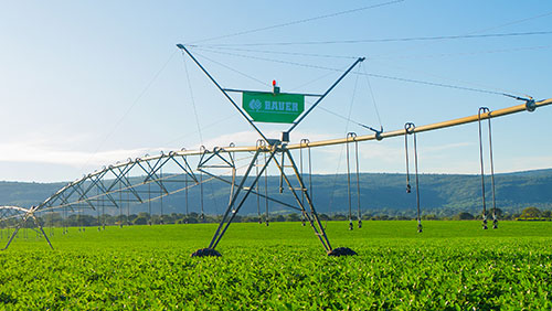 Bauer e Irricontrol: IA, pivôs 50% mais rápidos, loja de fábrica e muito mais na AgriShow 2024
