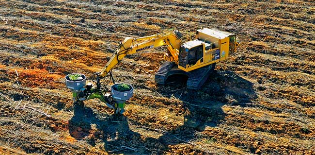 Komatsu participa da Agrishow 2024 com os principais equipamentos da Linha Amarela voltados ao agronegócio e lançamento para o mercado de biomassa