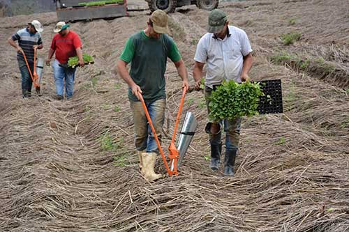 Como a Knapik vem transformando a agricultura com o uso dos aços Hardox®