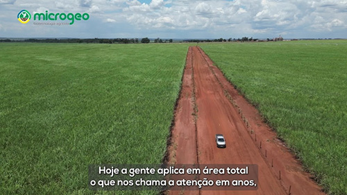 Produtor de Angélica (MS) colhe benefícios de manejo biológico com Microgeo