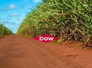 Dow apresenta portfólio de tecnologias para formulações agrícolas, com foco em bio-compatibilidade e performance para adjuvantes