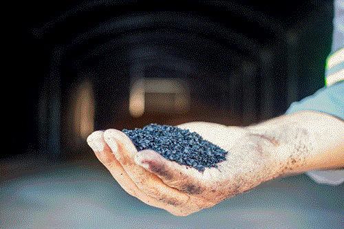 EISA e NetZero unem forças com a Nespresso no primeiro projeto de biochar em escala no Brasil