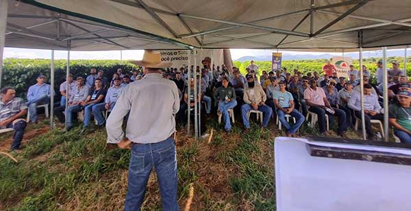 Epamig e Embrapa Café avaliam novas cultivares em nove regiões cafeeiras de MG