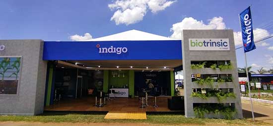 Indigo destaca inovações em biotecnologia na Tecnoshow Comigo, em Rio Verde (GO)