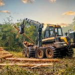 Colheita florestal: Harbunk gera economia de 30% em áreas pequenas