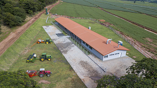 O Caminho para o Sucesso no Campo