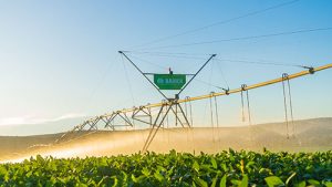Bauer do Brasil lidera nova fase global da empresa austríaca