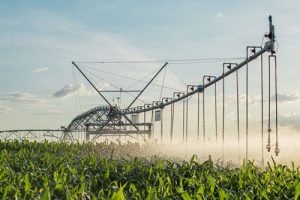 Com utilização da tecnologia, irrigação pode aumentar a produtividade em 30% e pode oferecer mais sustentabilidade com o uso racional da água