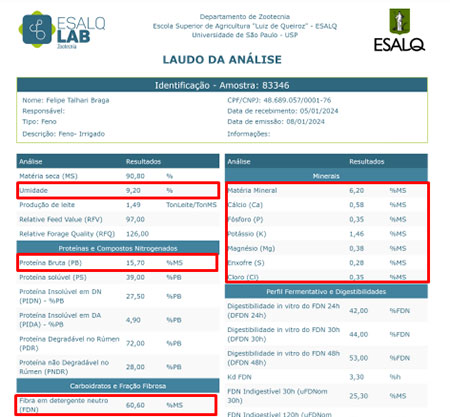 Até 10 cortes no ano! Produtores de feno irrigado por gotejamento têm aumento na rentabilidade com aumento cortes e feno tipo A