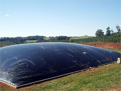 Biogás ganha protagonismo no Brasil como fonte de energia renovável e sustentável