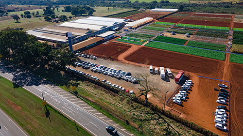 Dia de Campo da Agristar aquece mercado brasileiro de horticultura