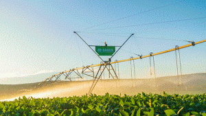 Irrigação permite ampliar em mais de 150% a produção canavieira