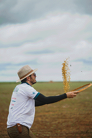 Rally da Safra, que mapeia o cultivo de soja e milho nas principais regiões produtoras,