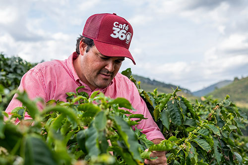 Stoller marca presença na ExpoCafé e alerta produtores sobre cuidados na florada, altas temperaturas e chuvas mal distribuídas