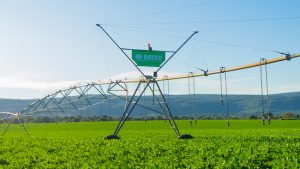 Bauer do Brasil e Irricontrol buscam estreitar laços com as cooperativas