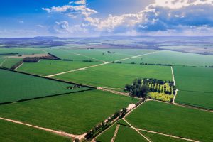 Nuseed apresenta potencial de variedades Vertix para a produção de etanol em evento da Udop