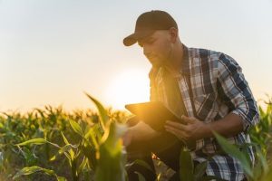 Completando cinco anos, programa de fidelidade da Orbia transforma investimentos em insumos agrícolas em recompensas valiosas para o produtor rural