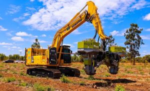 Investimento em silvicultura coloca Reflorestar em foco no setor florestal