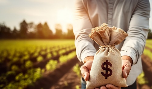 Plano Safra 2024/25 deve liberar mais de R$ 570 bilhões aos produtores