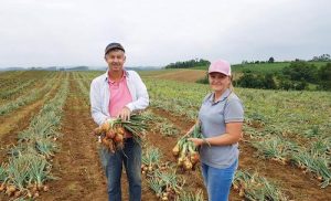 Stoller destaca soluções inovadoras na Hortitec, maior encontro de horticultura da América Latina