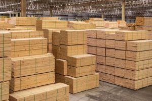 5º Woodtrade Brazil 2024 destaca potencial da indústria madeireira.