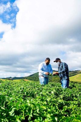 Produção de hortifrúti sem resíduos químicos ganha impulso com biotecnologia