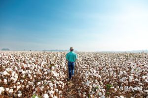 BASF aumenta EBITDA antes de itens especiais em 2024 devido à forte desempenho de seus negócios principais