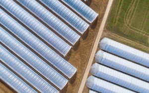 Hortitec: soluções da BASF para proteção dos plásticos apoiam agricultura sustentável