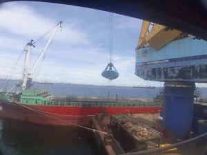 Pioneiras: Bunge e CP Foods aumentam transparência no embarque de soja livre de desmatamento com tecnologia blockchain