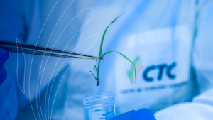 CTC faz parceria com Ginkgo para combater pragas nas lavouras de cana