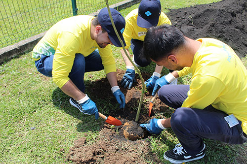 Dunlop Pneus engaja colaboradores com ações sustentáveis no mês de junho