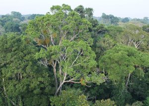 CONSERV é apresentado como mecanismo seguro de incentivo à conservação