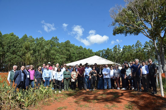 Conselheiros do CGIAR conhecem tecnologias sustentáveis para o Cerrado
