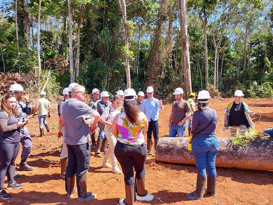 Transparência e sustentabilidade da madeira nativa são mostrados no Dia de Floresta Caixa de entrada